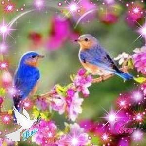 Meet your Posher, Lois